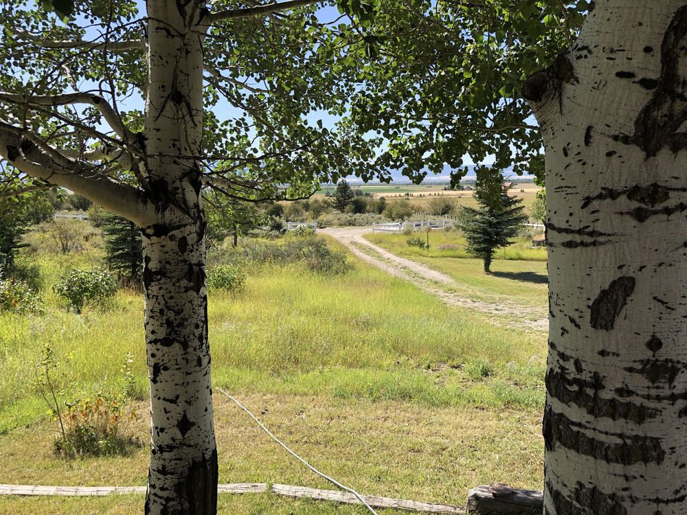 Eagle's Nest Ranch: 75 Perimeter Drive, Alta, WY 83414